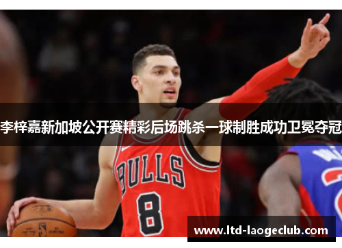 李梓嘉新加坡公开赛精彩后场跳杀一球制胜成功卫冕夺冠